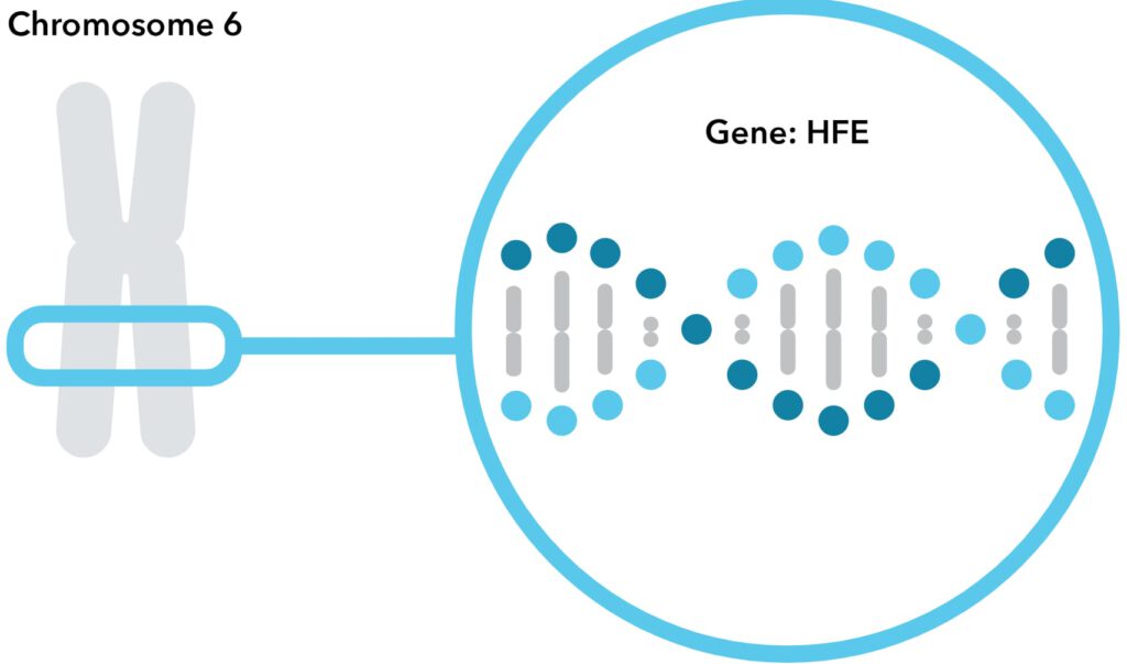 This image has an empty alt attribute; its file name is HFE-1024x603.jpg